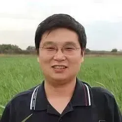 文章附图